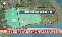 上海奉贤园区注册公司，中山北路办事处多项专业服务加持